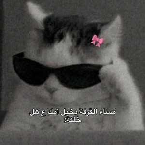 صورة المستخدم