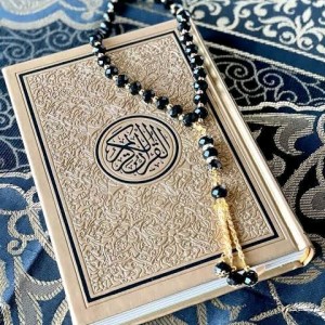 صورة المستخدم
