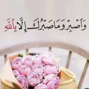 صورة المستخدم