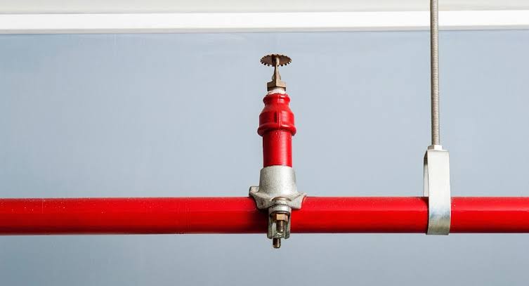 صورة المستخدم