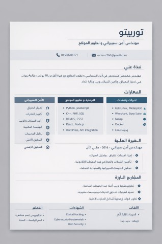 مهندس أمن سيبراني