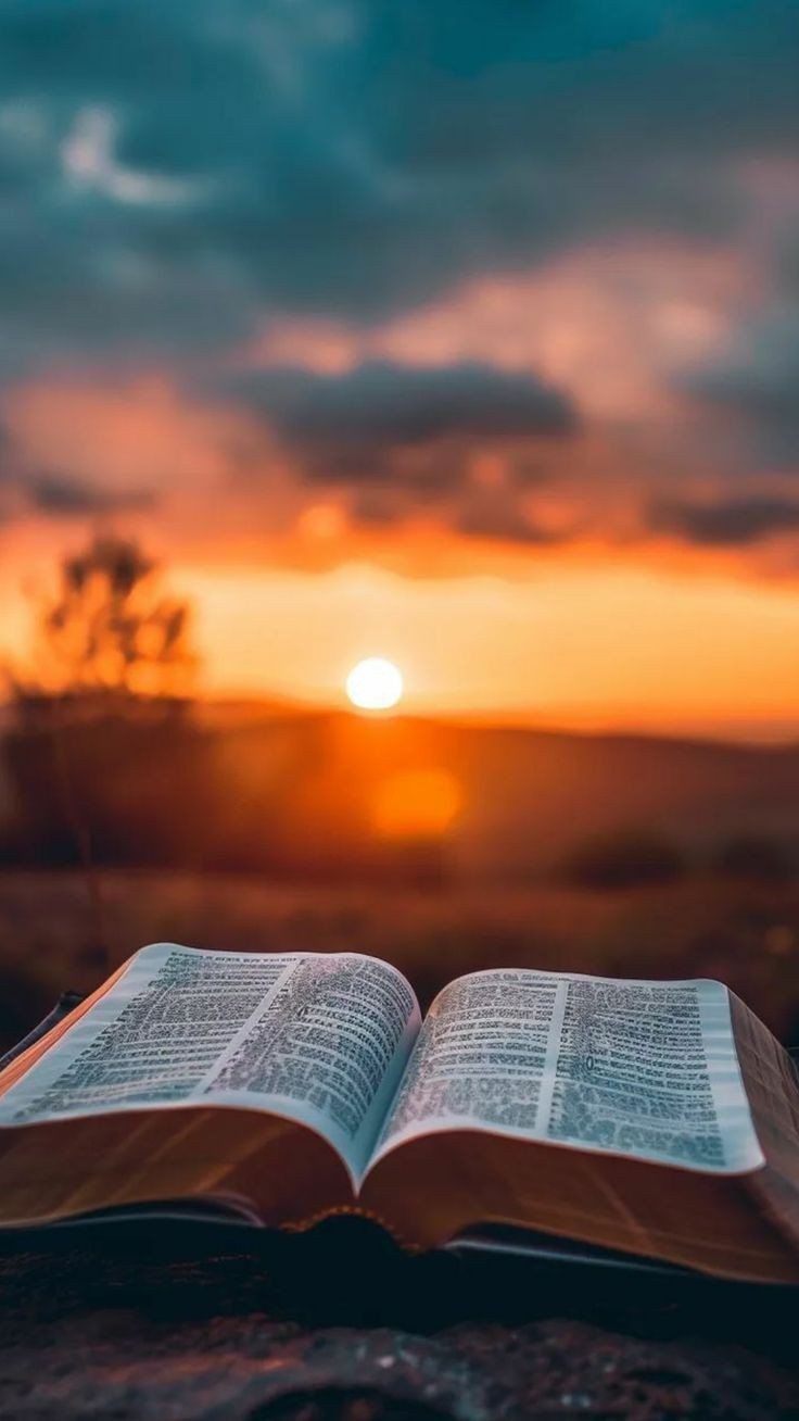 صورة المستخدم