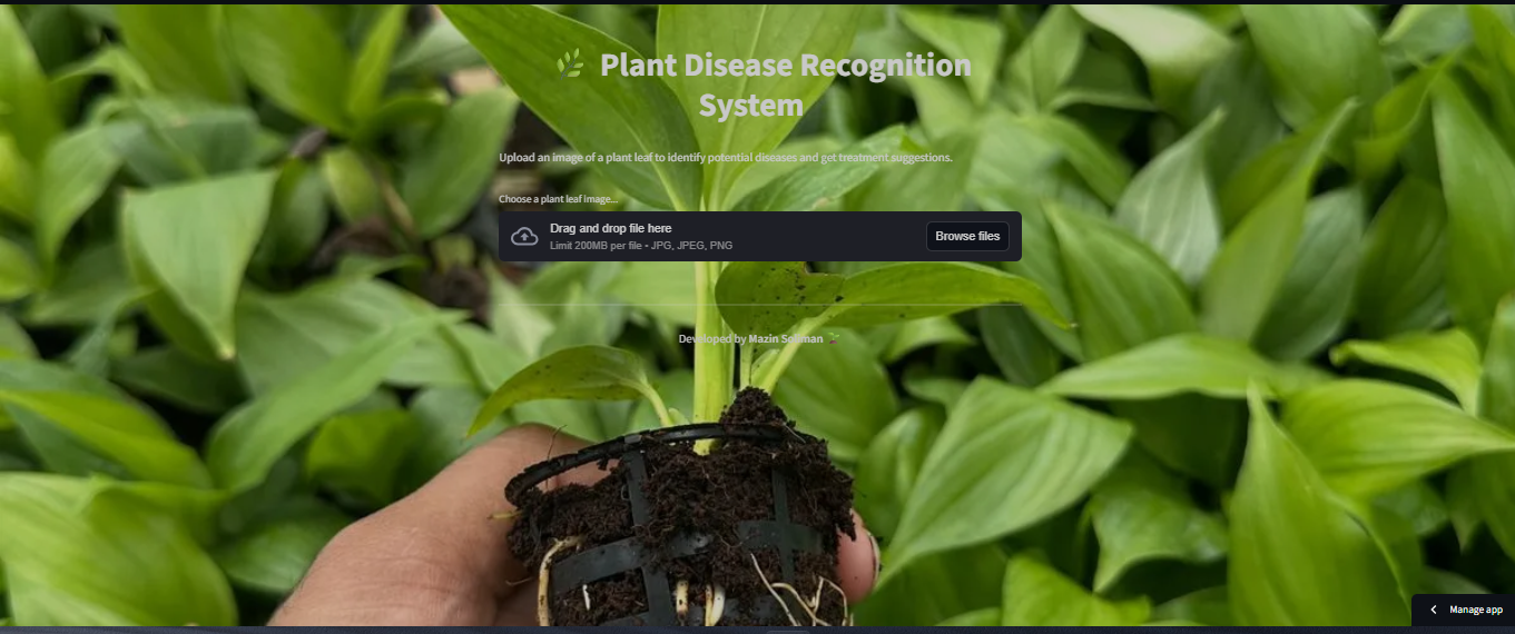 تقديم مشاريع Machine Learning باستخدام Python