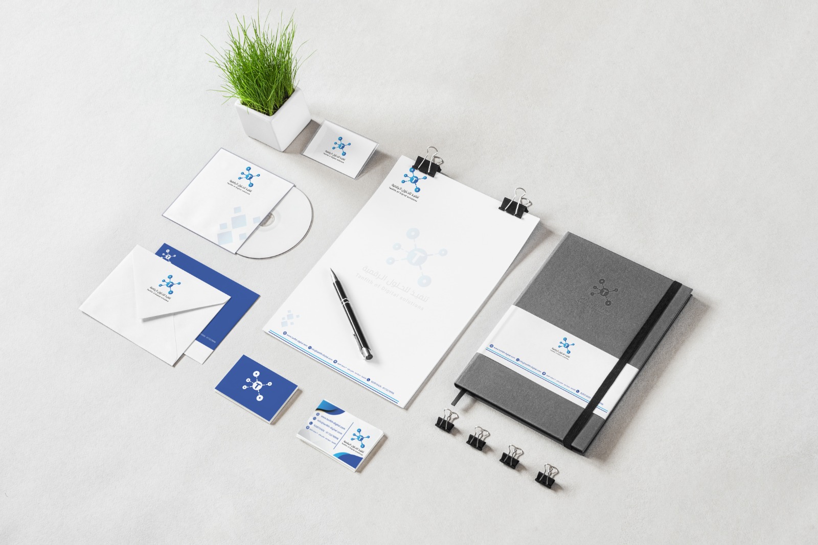 Tanfitha Co. | Full Branding Kit