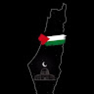 صورة المستخدم