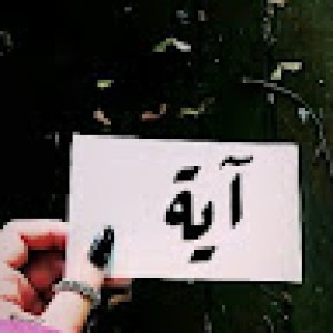 صورة المستخدم