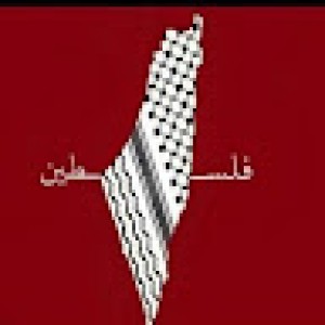 صورة المستخدم