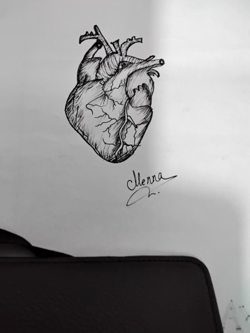 Drawing