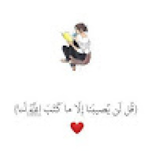 صورة المستخدم
