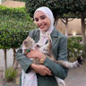 صورة المستخدم