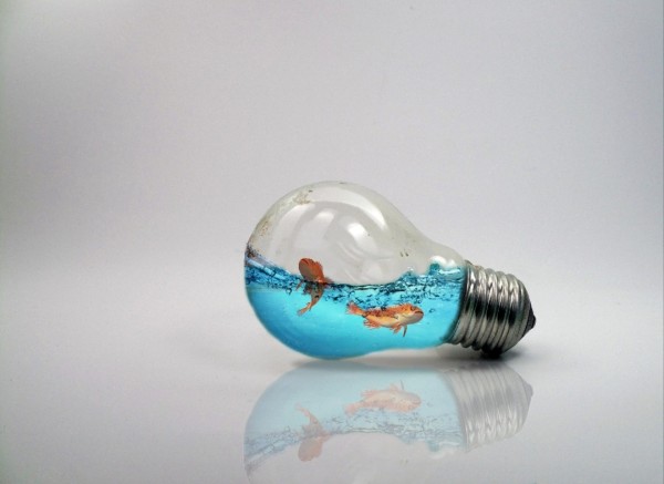 Bulb Life