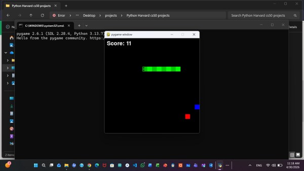 Snake game