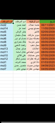إدخال البيانات وتنسيقها في جداول اكسيل