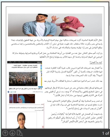 جدل في مصر حول واجبات الزوجة