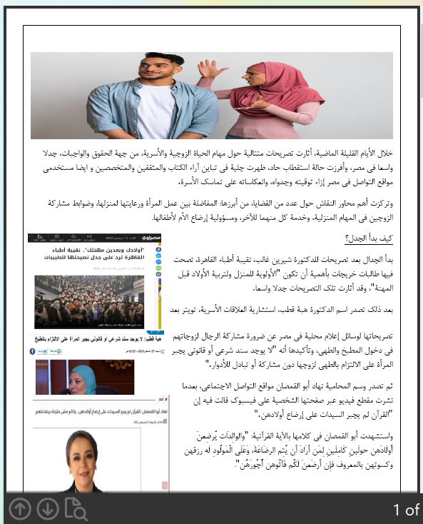 جدل في مصر حول واجبات الزوجة
