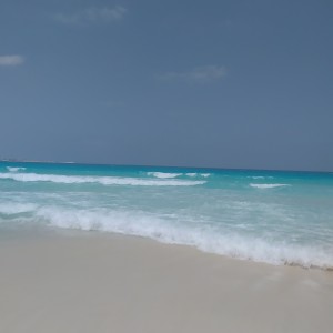 صورة المستخدم
