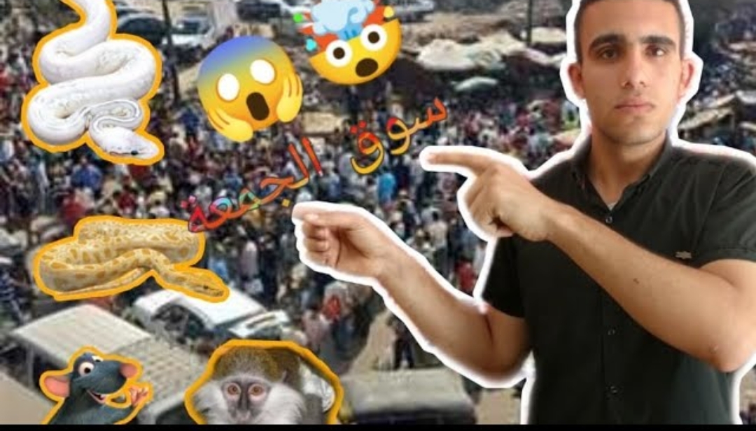 فلوج سوق الجمعة