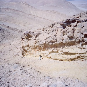 صورة المستخدم