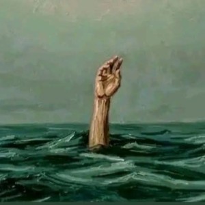 صورة المستخدم